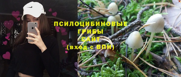 СК Абаза